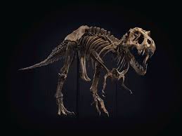 I just wanted to see what would it look like if the film was taken into a more serious tone, like if it was redone today. Real T Rex Skeleton For Sale How To Buy Dinosaur Fossils