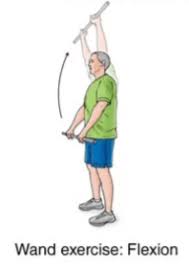 Image result for Shoulder Range of Motion Exercises