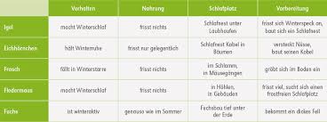 Einem sachtext informationen entnehmen.einen sachtext verstehen.film ab!.schritt 1: Tiere Im Winter Tipps Ideen Fur Ein Okologisches Unterrichtsprojekt In Der Grundschule Backwinkel Blog
