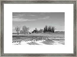 Black And White Framed Prints Pin By Wildlife Landscape Photography Art Prints By Lyl Dil Creations On Photographs I Like In 2020 Framed Prints Black White Art