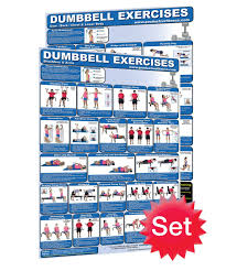Buy Dumbbell Exercises Workout Poster Now Laminated Home