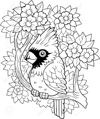 In fact, seven states have elected the northern cardinal as its state bird. Cartoon Bird Red Cardinal Coloring Book Cute Illustration Royalty Free Cliparts Vectors And Stock Illustration Image 153549454