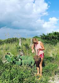 Farms, and they normally involve. Sea Love Sea Salt Co Prickly Pear Lime Margaritablog