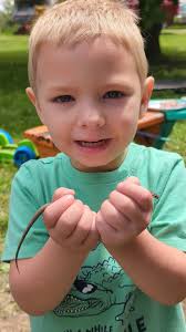 What is the identity of the snake found in Ohio?