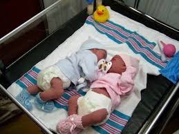 Birds And Bees Nursery Birds Bees Nursery Silicone Babies Silicone Reborn Babies Reborn Baby Boy Dolls Reborn Baby Dolls Twins