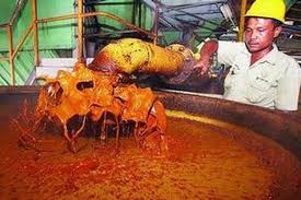 Check spelling or type a new query. Wilmar Pindahkan Pabrik Ke Indonesia