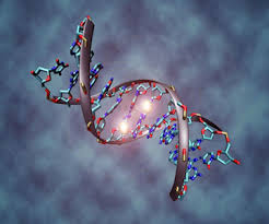 Computing science is in the middle of a major paradigm shift, driven by molecular biology. Dna Home