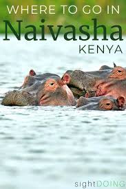 After doing extensive research over internet, reading several reviews we. 6 Fascinating Places To Visit In Naivasha Kenya Africa Travel Kenya Places To Visit
