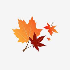 Autumn Maple Leaf Element Design Maple Leaf Clipart Fall Maple Leaf Element Png And Vector With Transparent Background For Free Download Maple Leaf Clipart Maple Leaf Drawing Leaf Clipart