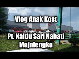 Pt kaldu sari nabati indonesia. Pt Kaldu Sari Nabati Majalengka Vlog Anak Kost Youtube