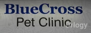 Get reviews, hours, directions, coupons and more for blue cross pet clinic at 451 bandera rd ste 107, san antonio, tx 78228. Bluecross Pet Clinic In Satellite Ahmedabad Drlogy