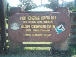 Pusat ini ditubuhkan dalam tahun 1981 dan memelihara dua spesies tuntung iaitu tuntung sungai (batagur baska) dan tuntung laut (callagur borneoensis). Facebook