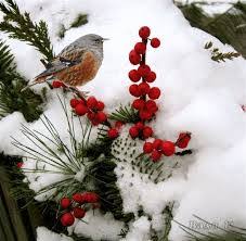 Pagina 1 di 11 offerte. Inverno Immagini E Frasi Benvenuto Inverno