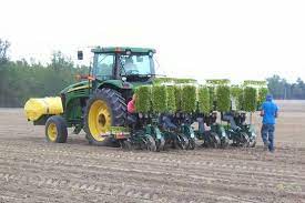 Check spelling or type a new query. Setting Tobacco Tobacco Settings Farm