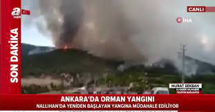 Maybe you would like to learn more about one of these? Son Dakika Ankara Da Orman Yangini Video Videosunu Izle Son Dakika Haberleri