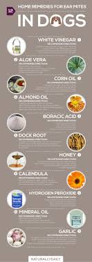15 Home Remedies For Ear Mites In Dogs That Work Dog Remedies Dog Ear Mites Remedies
