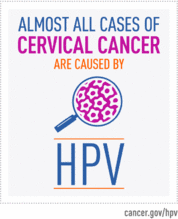 The cervix cancer has been linked to sexual activity, such as. Cervical Cancer Physiopedia