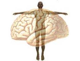 Image result for brain vs body picture