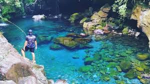 Beberapa markah tanah kota dekat stasiun besar ini antara lain dinas sosial, tenaga kerja, dan transmigrasi kabupaten banyumas, museum bank rakyat indonesia, dan pasar manis purwokerto, akses ke stasiun ini tersedia melalui armada angkot jalur g.1 dan g.2 serta bus umum. 40 Tempat Wisata Di Purwokerto Terbaru Yang Lagi Hits 2021