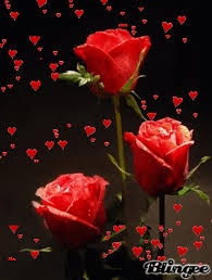 Https Encrypted Tbn0 Gstatic Com Images Q Tbn And9gcqkzhekpcvuxess56ouhc2xmcpcbgr6jpp G Usqp Cau