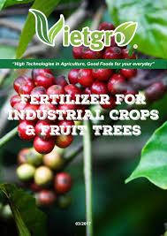 They provide the visual structure and the key elements of any landscape and are usually the first components to be planted, since they take longer than most other plants to become established and fulfill their role. Vietgro Fertilizer For Industrial Crops And Fruit Trees 08 2017 By Vietgro Issuu