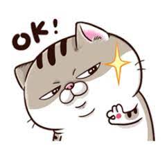 Ghim Tren Ami Cat