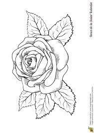 a lovely pink coloring for valentine s day coloriage rose dessin coloriages d&#x00027;hiver