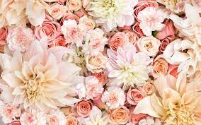 Desktop Pinterest Rose Gold Wallpapers Wallpaper Cave Cute rose gold wallpaper for desktop | best hd wallpapers. desktop pinterest rose gold wallpapers
