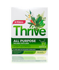 Fertilizing your phalaenopsis orchid properly can be a little tricky, so the rest of this article will go into detail to make sure that you get it just right, and are able to keep your orchids healthy and thriving. Yates 500g Thrive All Purpose Soluble Plant Food Yates Gardening Australia