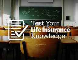 The ultimate knowledge centre to help individuals and families throughout the uk understand the various forms of life insurance. Test Your Life Insurance Knowledge University Financial Services