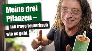 Die Lieblingssorten von Serious Seeds Gründer Simon Smit