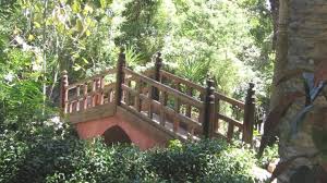 Jardins Exotiques De Bouknadel Journee De Distillation Traditionnelle Des Plantes Aromatiques Le Vert