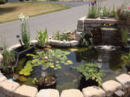 Maybe you would like to learn more about one of these? Fuente Para Plantas Acuaticas Ponds Backyard Backyard Water Feature Fountains Backyard