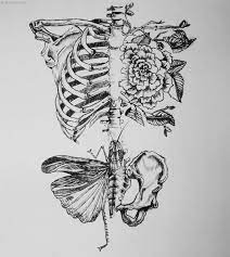 Firstly, the skin is thin and sensitive around many areas of the rib cage. Skeleton Rib Cage Drawing Google Search Japanese Tattoo Art Nature Tattoos Art Tattoo