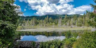 Des forêts pluviales aux sommets des rocheuses, elle est un véritable terrain de jeu. La Colombie Britannique Conseils Voyage Ouest Canadien