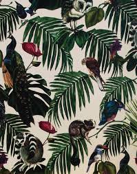 Amazonia Light Wallpaper Lit Wallpaper Wallpaper Wallpaper Project