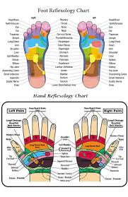 How Reflexology Can Aid With Digestion Alive Therapies