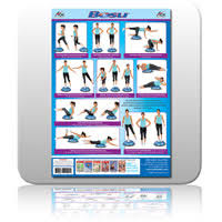 aok wall chart for bosu a2 sports fitness and exercise