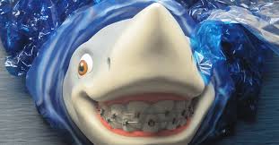 Browse 121 tiger shark teeth stock photos and images available, or start a new search to explore more stock photos and images. Fun Facts About Shark Teeth Adelberg Pediatric Dental