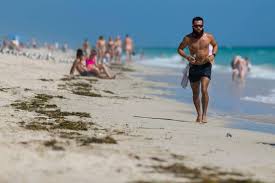 Miami beach is a city in florida. Despite Covid Tourists Hit Miami Beaches For President S Day Miami Herald