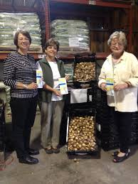 Newton gardeners to plant daffodils along marathon route