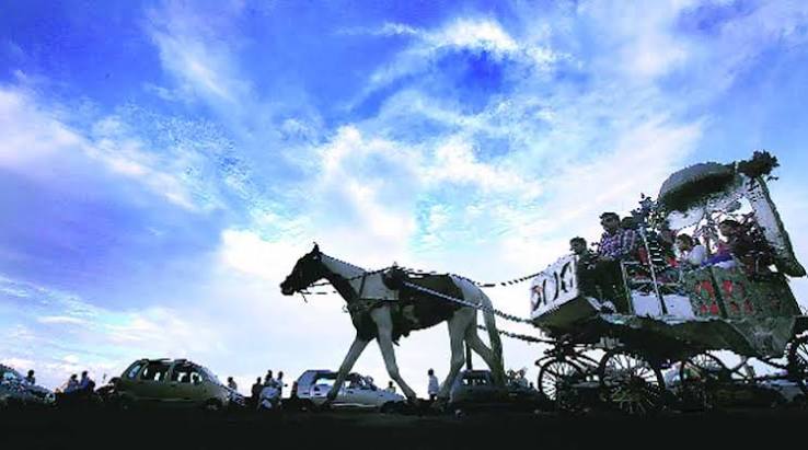 Banning Victorias: Putting the horse before the cart | Explained News - The Indian Express