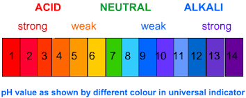 ph level neutral acidic or basic derya sunkel