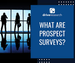 Known as the png 100 ceo survey, its eight years of data reveal enlightening trends about the state of business confidence in png. What Are Prospect Surveys Online Survey Company