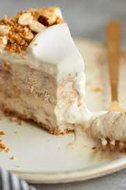 Salty Peanut Pretzel Ice Cream Cake Recipe Recipe Ice Cream Cake Pretzels Ice Cream Ice Cream