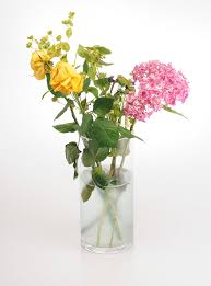 Maybe you would like to learn more about one of these? Keep Flowers Fresh By Treating Them To Vodka Bleach Lemonade Or Aspirin Daily Mail Online