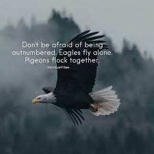 Positive Quotes Quotation Image Quotes Of The Day Description Don T Be Afraid Of Being Outnumbered Eag Eagles Quotes Fly Quotes Fear Of Flying See more ideas about quotes, eagles quotes, inspirational quotes. eagles quotes fly quotes