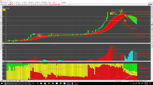 Juncljs Profile Comments I3investor