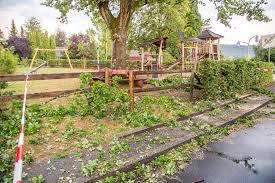 Vor allem im raum schorndorf hatten polizei und feuerwehr viel zu tun. Gewitter Im Rems Murr Kreis In Schorndorf Knickt Der Wind Baume Um Stuttgarter Nachrichten