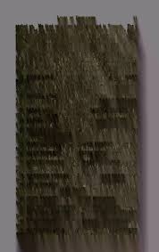 Lyle family : the ancestry and posterity of Matthew, John, Daniel and  Samuel Lyle, pioneer settlers in Virginia